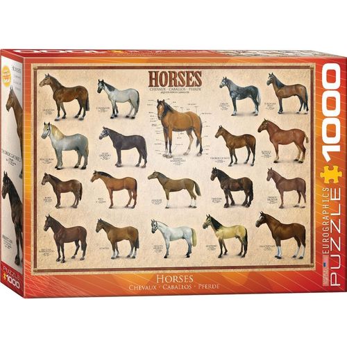 Eurographics Casse-Tête Chevaux - 1000 Pièces