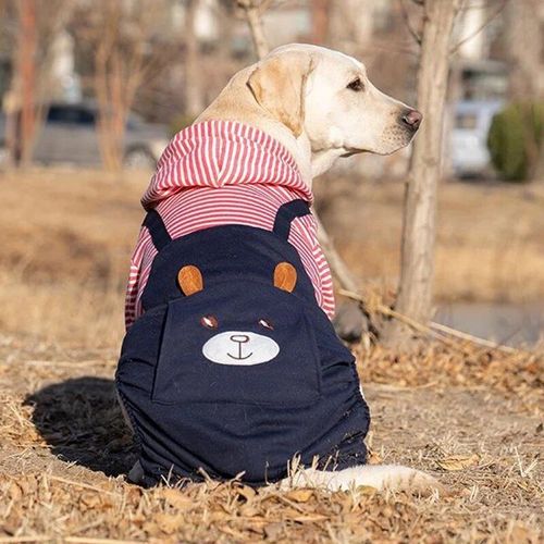 Sweats À Capuche Chauds Pour Animaux De Compagnie,Vêtements Pour Chiens Moyens Et Grands,Manteau D'hiver Pour Golden Retriever,Samoyède,Labrador,Costume Pour Chien De Com - Type Rose Red Totoro-6xl