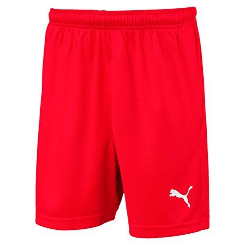 Pumaitaliasrl-Teamliga