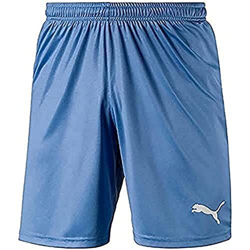 Pumaitaliasrl-Teamliga