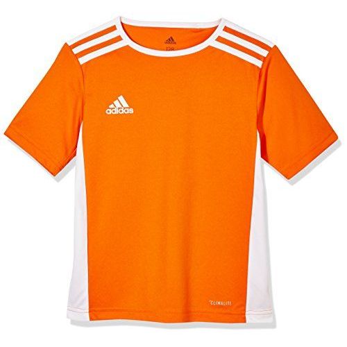 Adidasitaliaspa-Entrada18