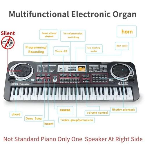 Clavier De Piano ¿¿Lectronique Avec Microphone Pour Enfants",Jouet Musical Pour D¿¿Butants,61 Claviers Pr¿¿Dire,"Enfants De 3 ¿¿ 12 Ans - Type Black