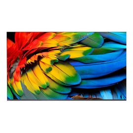 Philips 58HFL6214U - Classe de diagonale 58" Professional MediaSuite TV LCD rétro-éclairée par LED - soins de santé/hôtel - Smart TV - Android TV - 4K UHD (2160p) 3840 x 2160 - gris anthracite