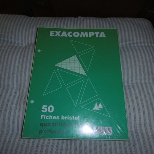 Paquet De 50 Fiches Bristol 170x220mm 5x5 Vertes Perforées Exacompta 10630
