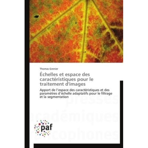 Echelles Et Espace Des Caractéristiques Pour Le Traitement D'images - Apport De L'espace Des Caratéristiques Et Des Paramètres D'échelle Adaptatifs Pour Le Filtrage Et La Segmentation