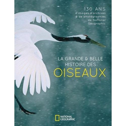 La Grande & Belle Histoire Des Oiseaux - 130 Ans D'images D'archives & De Photographies De National Geographic