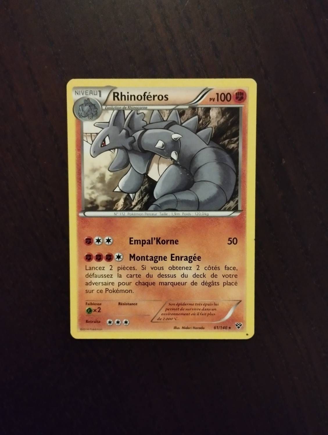 Rhinocéros Pokémon Xy 