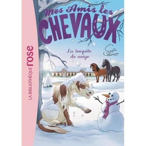 Mes Amis Les Chevaux Tome 25 - La Tempête De Neige