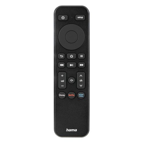 Télécommande universelle 2-en-1 programmable pour la télévision et