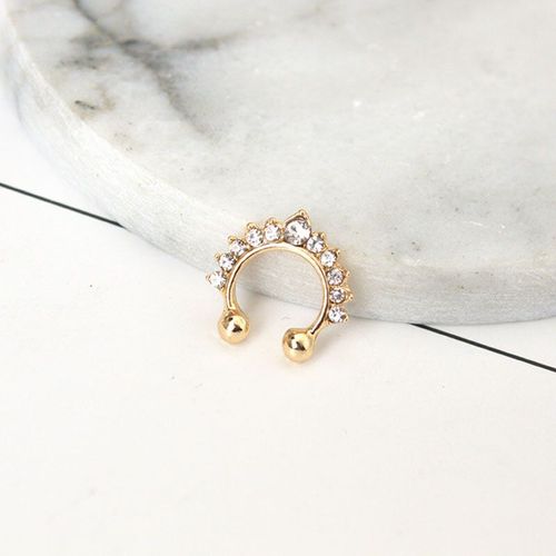 Piercing De Nez En Cristal Et Zircon Pour Hommes Et Femmes, 1 Pièce, 316l