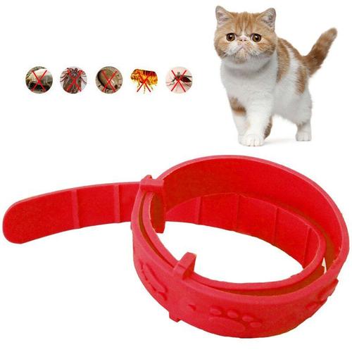 Collier Anti-Moustiques Pour Chien Et Chat, Protection À Long Terme, Réglable, Accessoire D'extérieur, Anti-Puces, Acariens, Poux, Insecticide