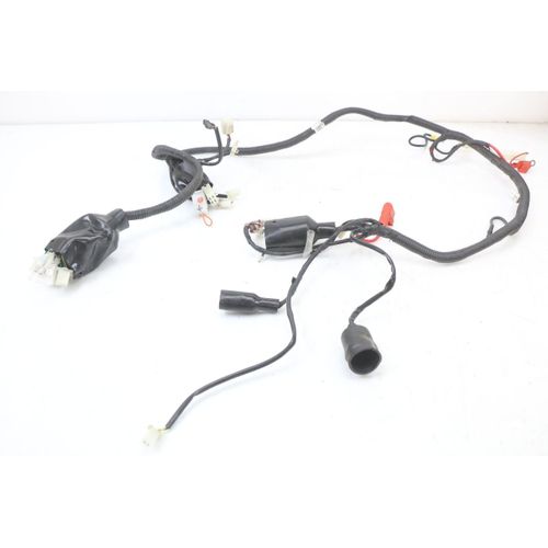 Faisceau Jm Motors Santana 50 2014 - 2020 / 196661