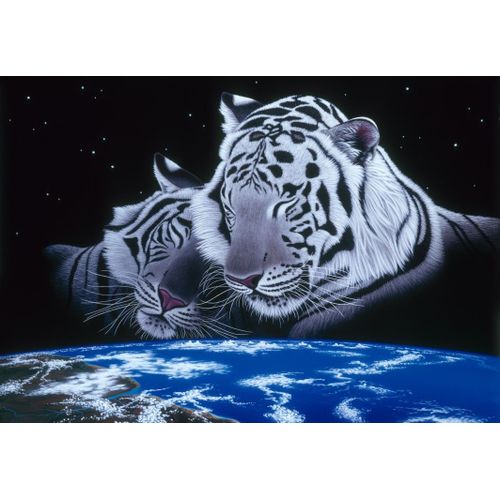 Schim Schimmel - Sleep Tight - Puzzle 12 Pièces