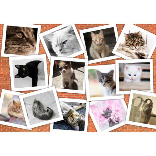Chats - Puzzle 204 Pièces
