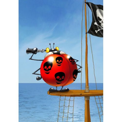 François Ruyer: Coccinelle Pirate - Puzzle 12 Pièces