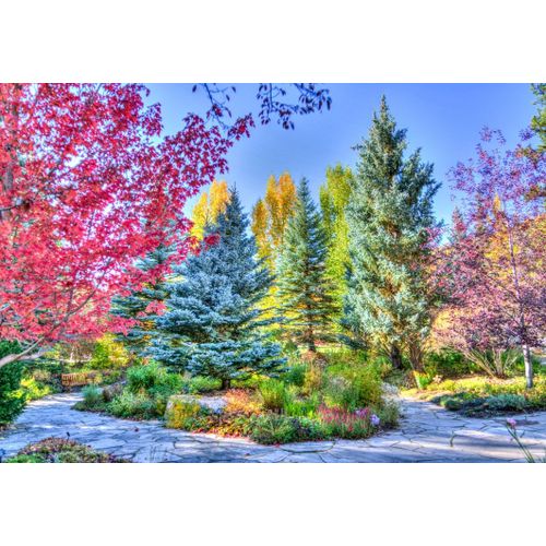 Forêt Colorée, Colorado, Usa - Puzzle 12 Pièces