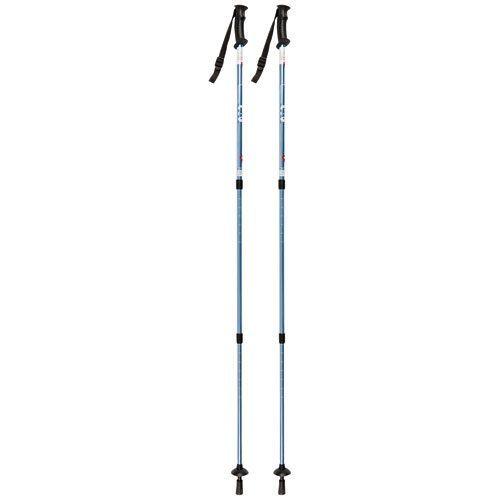 Bâton De Randonnée Lot De 2 Hauteur Réglable 66 À 145cm Gris