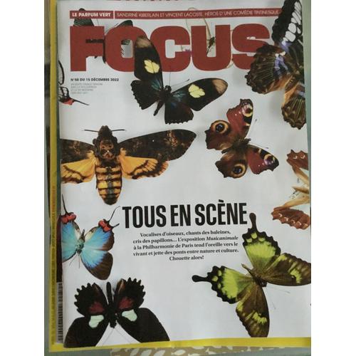 Focus 50 Sandrine Kiberlain Vincent Lacoste Roger Dean Tom Gauld Marie Kreutzer David Bowie Scylla Rodolphe Coster Warhaus Musicanimale