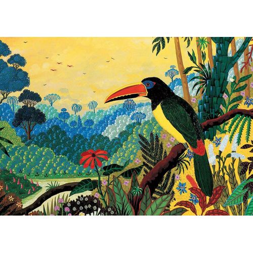 Puzzle - Thomas - Toucan - 1000 Pieces