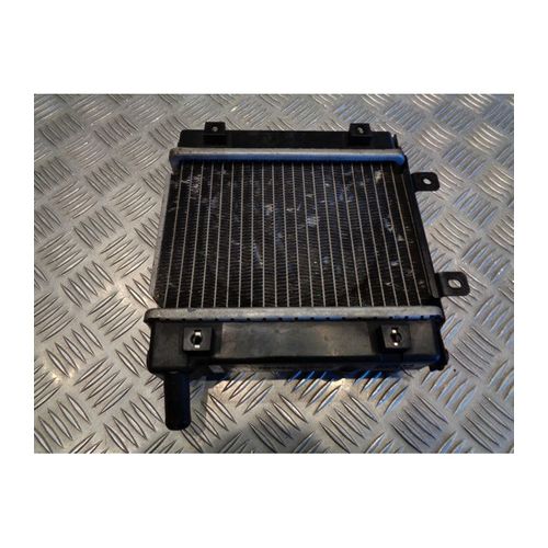 Radiateur Eau Refroidissement Scooter Kymco 250 Ego
