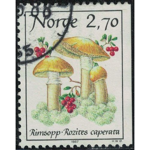 Norvège 1987 Oblitéré Used Champignons Rozites Caperata Pholiote Ridée Y&t No 925 Su