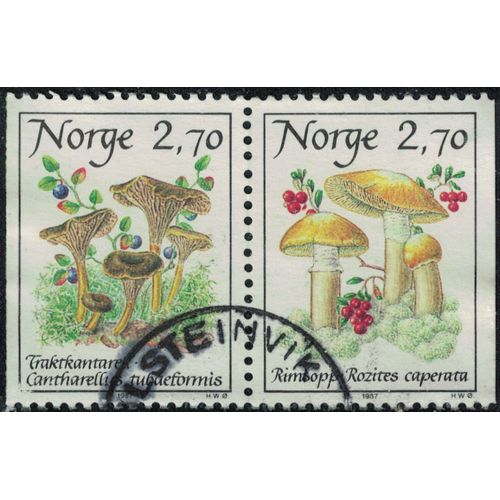 Norvège 1987 Oblitéré Used Se-Tenant Champignons Cantharellus Tubaeformis Et Rozites Caperata Y&t No 924a Su