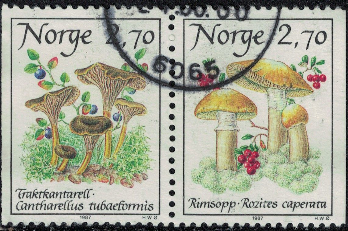 Norvège 1987 Oblitéré Used Se-Tenant Champignons Cantharellus Tubaeformis Et Rozites Caperata Y&t No 924a Su