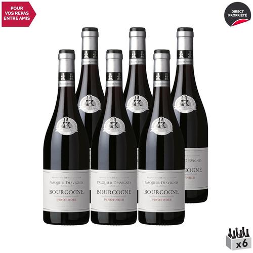 Domaine Pasquier-Desvignes Bourgogne Pinot Noir Rouge 2020 X6