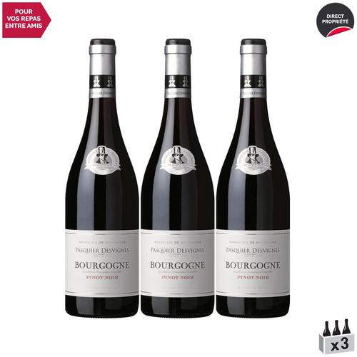 Domaine Pasquier-Desvignes Bourgogne Pinot Noir Rouge 2020 X3