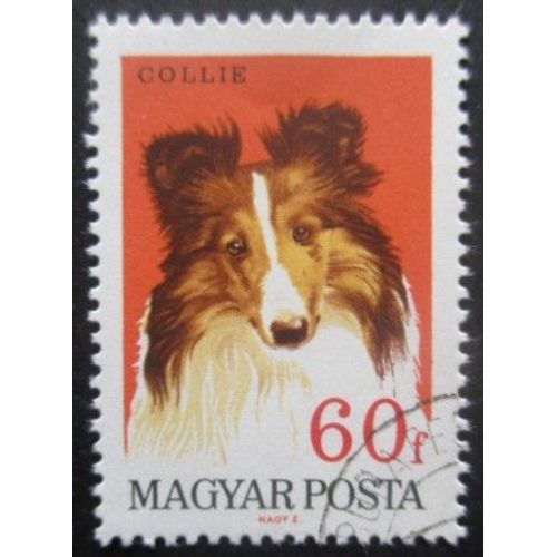Hongrie N°1904 Chien Oblitéré