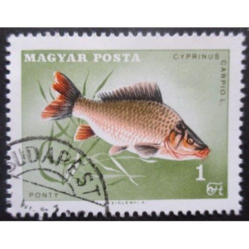 Hongrie N°1912 Poisson Oblitéré