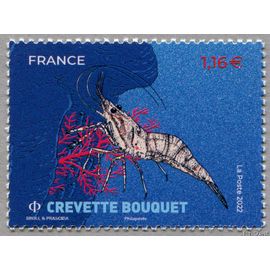 France 2022, Très Beau Timbre Neuf** Luxe Yvert 5556, Coquillages Et Crustacés, La Crevette Bouquet.
