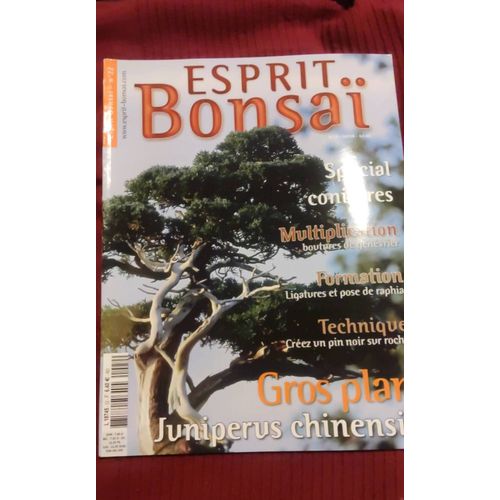 Esprit Bonsaï 