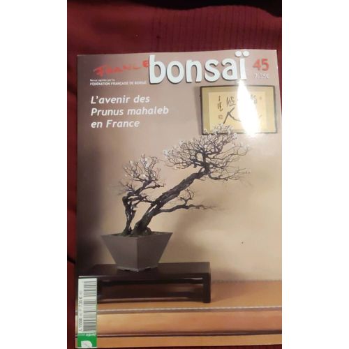 France Bonsaï 