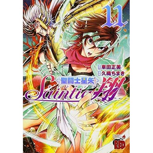 Saint Seiya: Saintia Sho Vol. 11