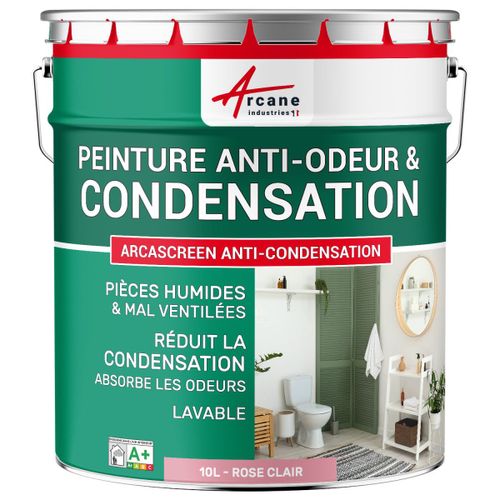 Peinture anti condensation anti odeur moisissure Rose clair RAL 3015 10 L