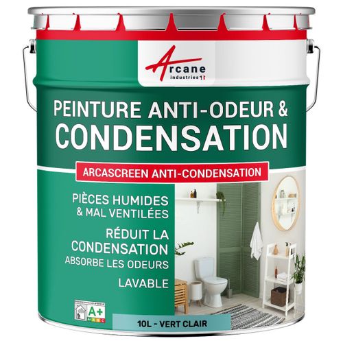 Peinture anti condensation anti odeur moisissure Vert clair - RAL 6027 10 L