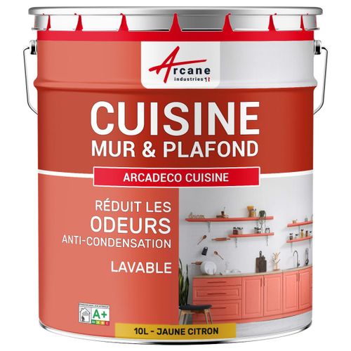 Peinture cuisine lessivable absorbe les odeurs Jaune citron RAL 1012 10 L