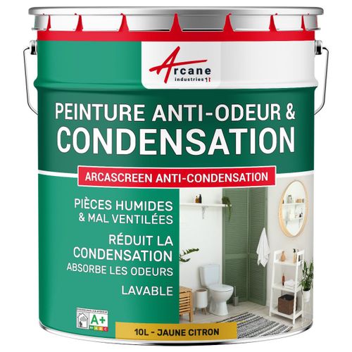 Peinture anti condensation anti odeur moisissure Jaune citron RAL 1012 10 L