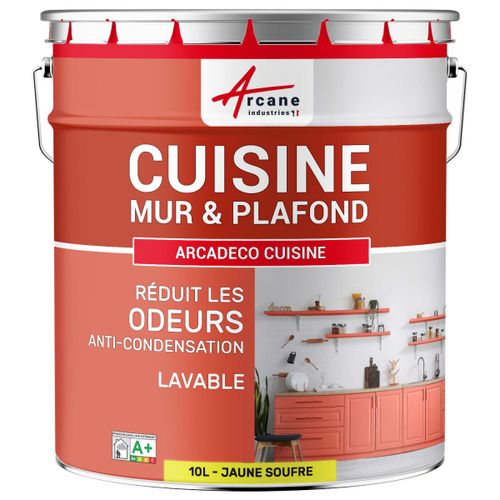 Peinture cuisine lessivable absorbe les odeurs Jaune soufre RAL 1016 10 L