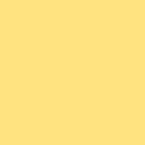 Peinture salle de bain mur plafond condensation Jaune éclatant RAL 095 90 50 10 L