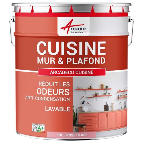 Peinture cuisine lessivable absorbe les odeurs Rose clair RAL 3015 10 L