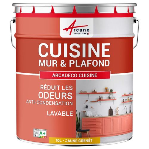 Peinture cuisine lessivable absorbe les odeurs Jaune Genet - RAL 1032 10 L