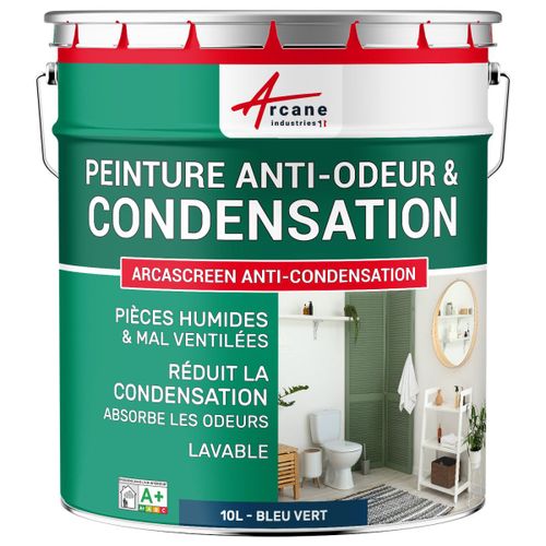 Peinture anti condensation anti odeur moisissure Bleu vert RAL 5001 10 L
