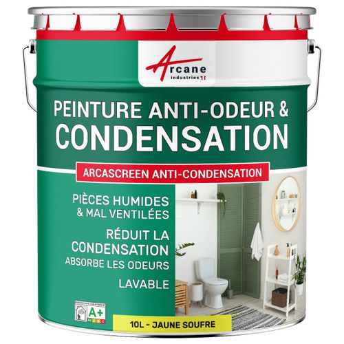 Peinture anti condensation anti odeur moisissure Jaune soufre RAL 1016 10 L