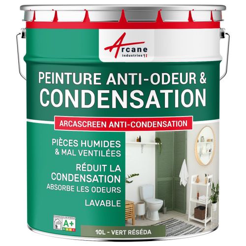 Peinture anti condensation anti odeur moisissure Vert réséda RAL 6011 10 L