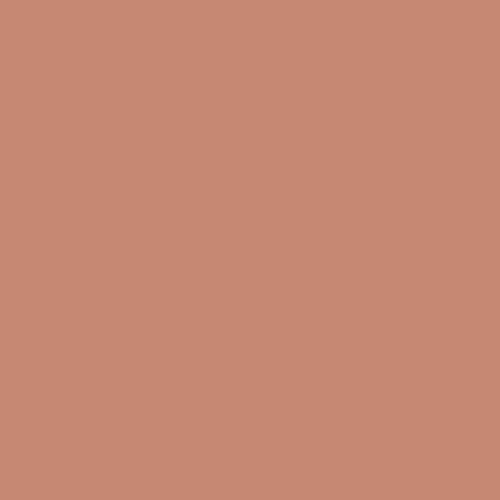 Peinture salle de bain mur plafond condensation Rouge beige RAL 3012 10 L
