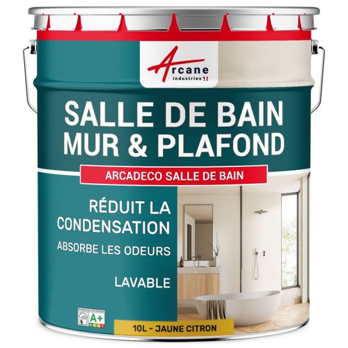 Peinture salle de bain mur plafond condensation Jaune citron RAL 1012 10 L