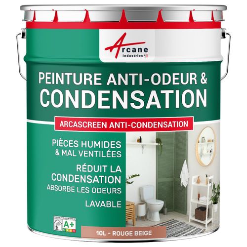Peinture anti condensation anti odeur moisissure Rouge beige RAL 3012 10 L