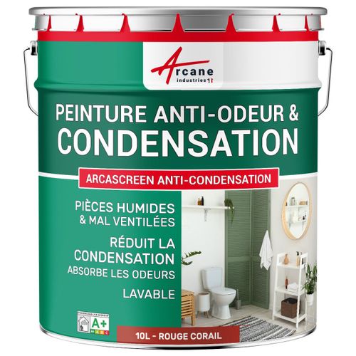 Peinture anti condensation anti odeur moisissure Rouge corail RAL 3016 10 L